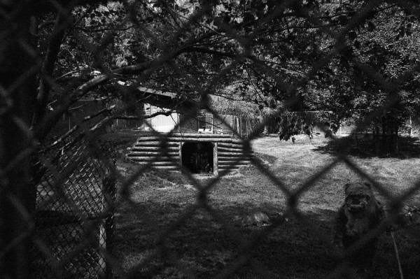 thomas_dagg_star_wars15