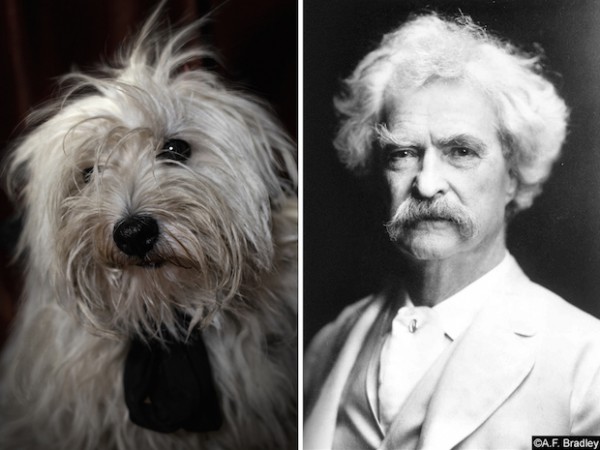 Mark-Twain