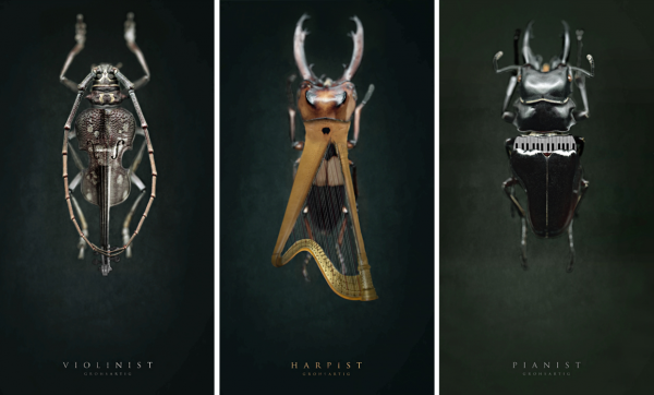 Forrás: behance.net