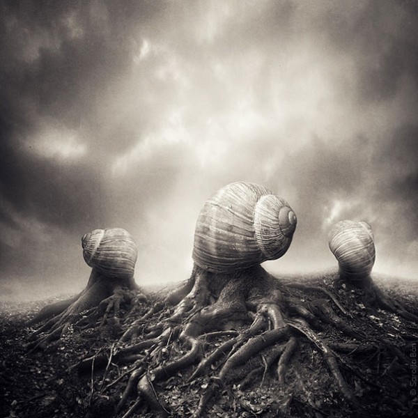 Forrás: saroltaban.com