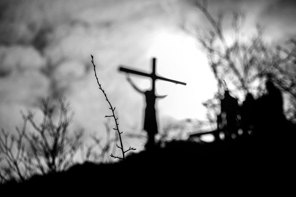 Fotó: Ruprech Judit Ruprech Judit fotói