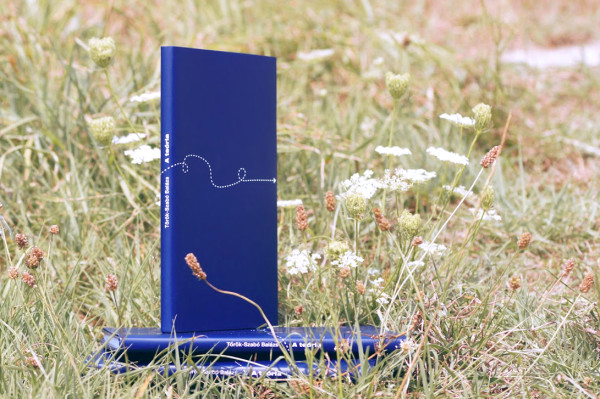 Török-Szabó Balázs - A teória