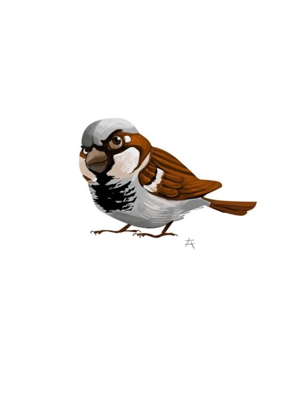 közönséges normál hétköznapi veréb